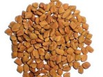 Include Fenugreek In Your Diet 1 Aid